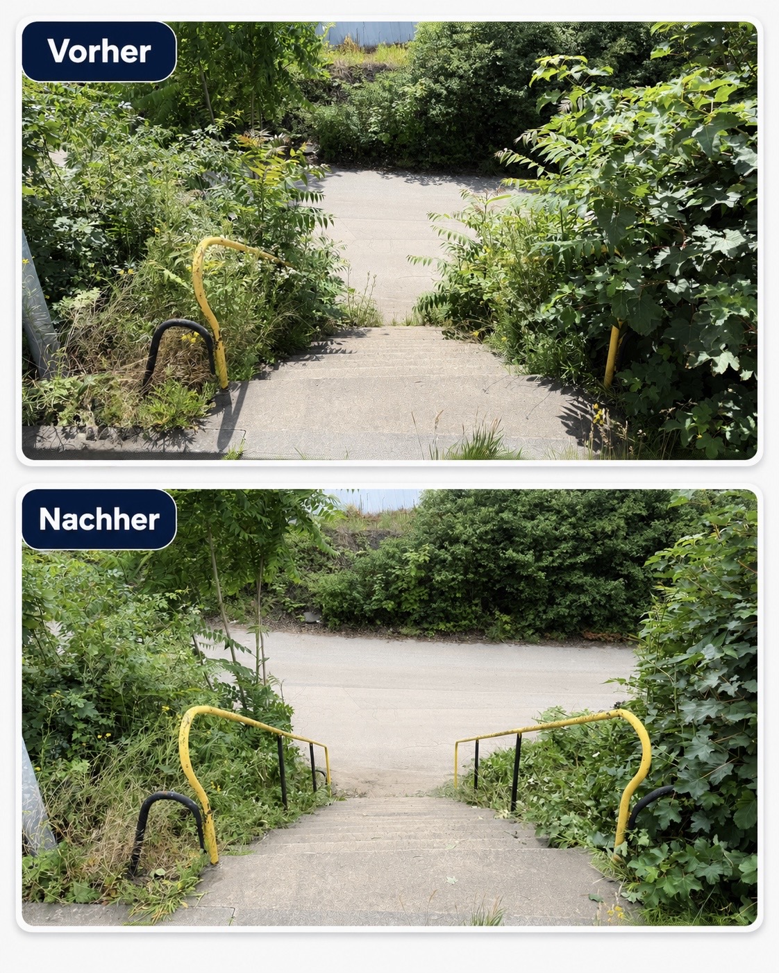 Grünpflege an einem Treppenzugang durch Kir Service, vorher und nachher